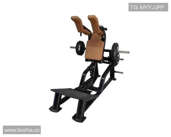 练腿必备的健身器材推荐：从深蹲架到腿举机，哪个更适合你？